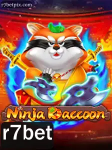 Explorando o Universo de NinjaRaccoon